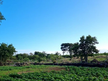 Terrain Agricole