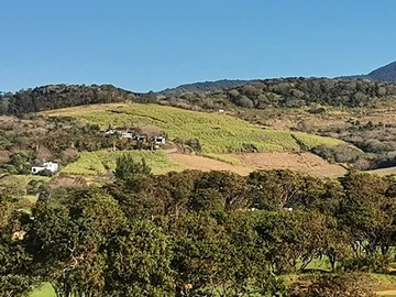Terrain Agricole
