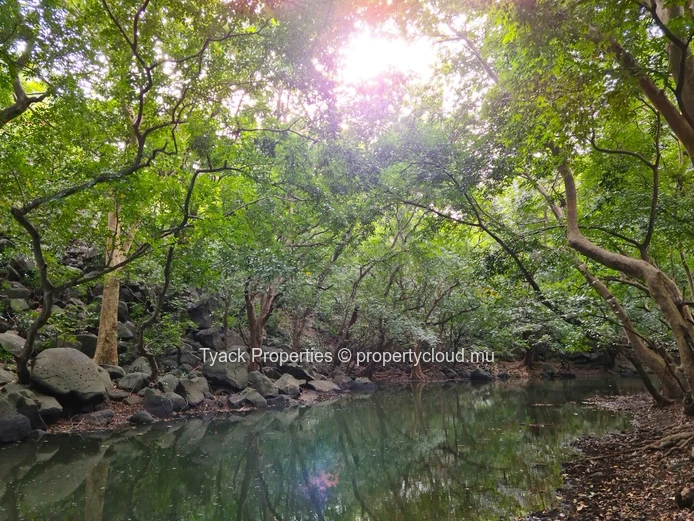 Residential Land for Sale in Belouguet, Tamarin