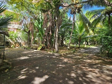 Villa de 4 Chambres