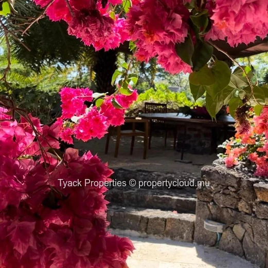 Solaia Maeva Villa – Anahita