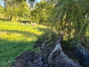 Terrain Agricole