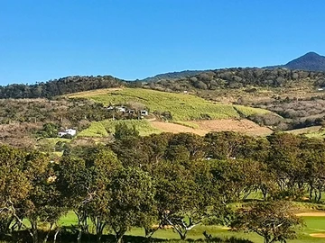 Terrain Agricole